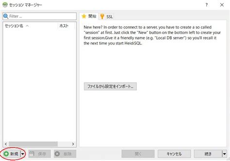 Detials Apply Query Code in HeidiSQL に対する画像結果