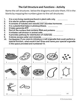 Image result for 7th Grade Cell Structure Worksheet