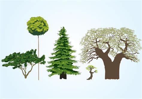 Image result for Great Tree Vector
