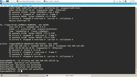 Linux IP Config に対する画像結果