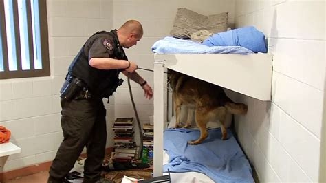 Afbeeldingsresultaten voor Prison Cell Shakedown