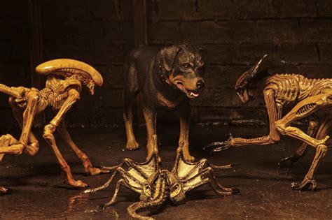 Afbeeldingsresultaten voor Alien 3 Dog