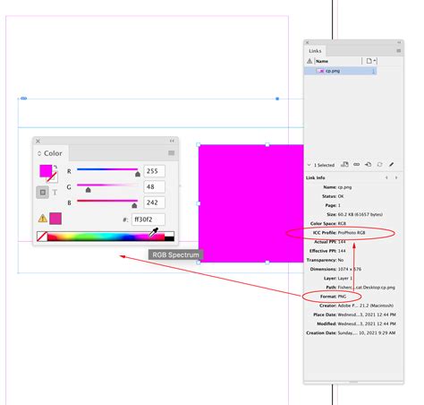 Image result for Graphics Program File Size