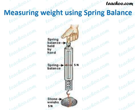 Image result for Spring Weight Simulation