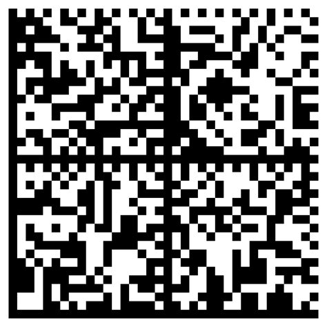 Image result for Scanlan Data Matrix Barcode