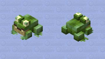 Toradh íomhá ar Cold Frog Minecraft