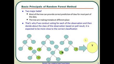 What Is a Random Forest Model માટે ઇમેજ પરિણામ