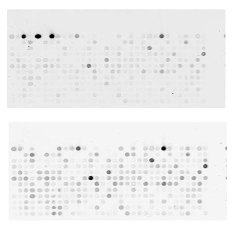 Image result for Microprism Array Imaging