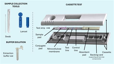How to Take Lateral Flow Test に対する画像結果