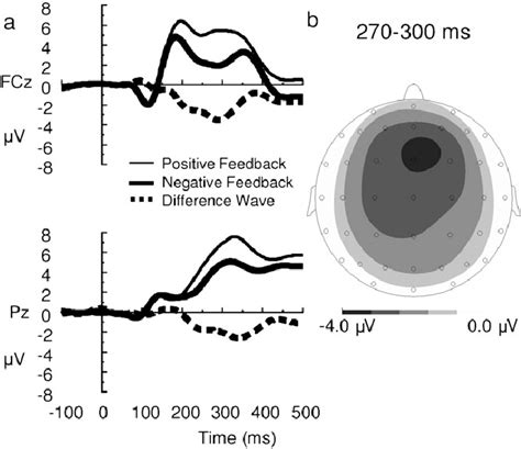 Image result for Negative Feedback Graph