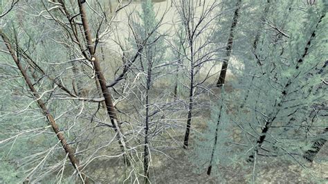 Image result for Java Procedural Graphics