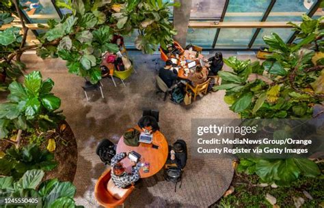 Image result for Huntington Beach Central Library