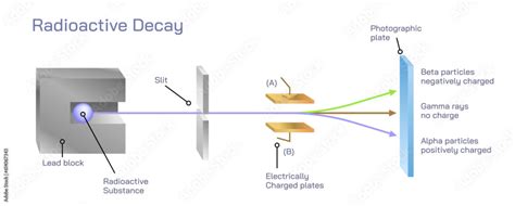 Decaying Radiation に対する画像結果