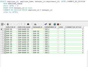 SQL> Connect Project Example に対する画像結果