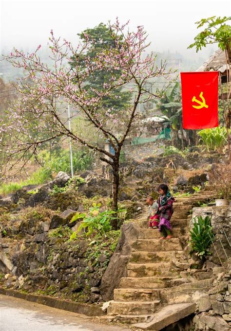 Image result for Hmong Spring Time