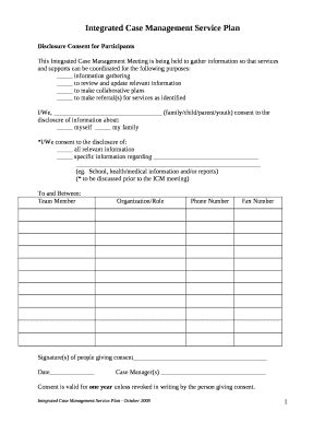 Toradh íomhá ar Case Management Service Plan Example