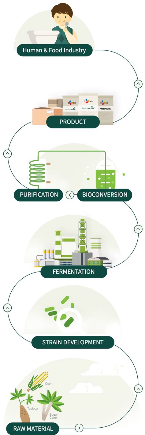 Image result for Biotec Process Map