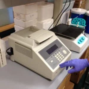 Image result for PCR Test Maker
