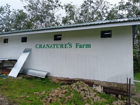 Image result for Whimsacle Dove Aviary