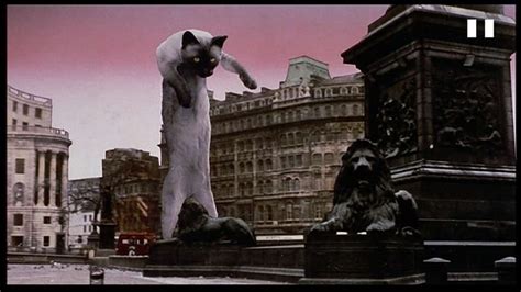 Bildergebnis für Monty Python Killer Cars