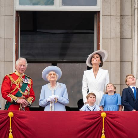 Image result for Royal Python Setup Guide