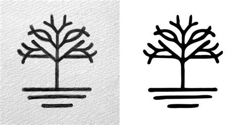 Image result for Converting to Vector Graphics