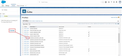 Afbeeldingsresultaten voor Salesforce Developer Profile