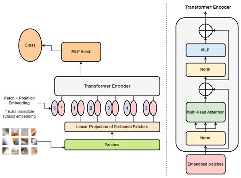 Image result for Convolutional Neural Network Transformer Model