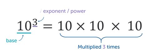 Exponent Structure に対する画像結果