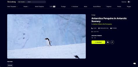 תוצאת תמונה עבור Film Matte Overlay Loop Motion Array