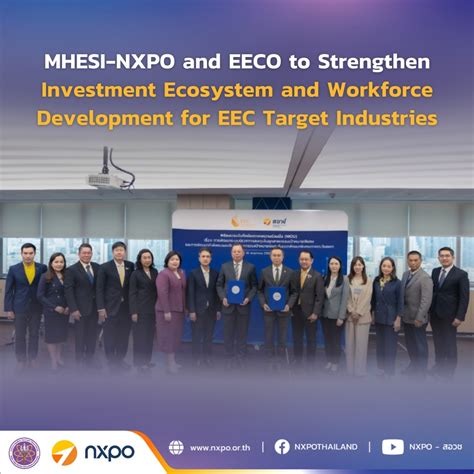 Toradh íomhá ar Workforce Development Ecosystem