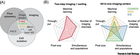 Afbeeldingsresultaten voor Identify Trends Using Advanced Sorting and Filtering