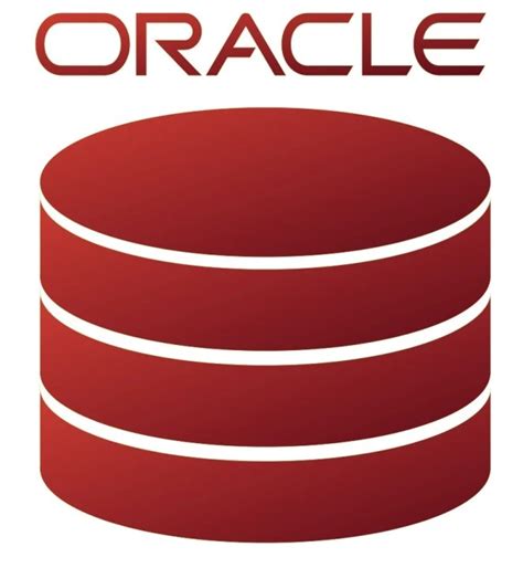 Image result for Oracle Data Store Logo