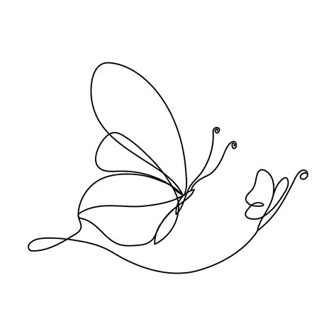 Premium Vector | Continuous single line butterfly drawing and one line ...