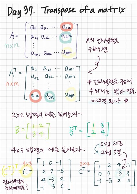 Transpose Linear Algebra に対する画像結果