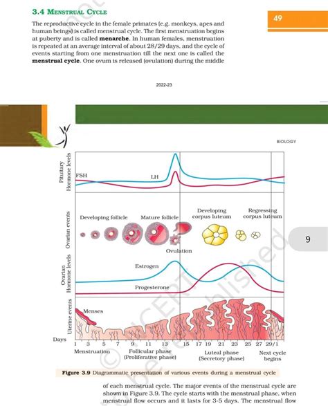 Image result for Reproductive Cycle