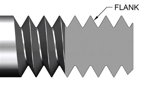 Toradh íomhá ar Show Me a Fully Formed Thread
