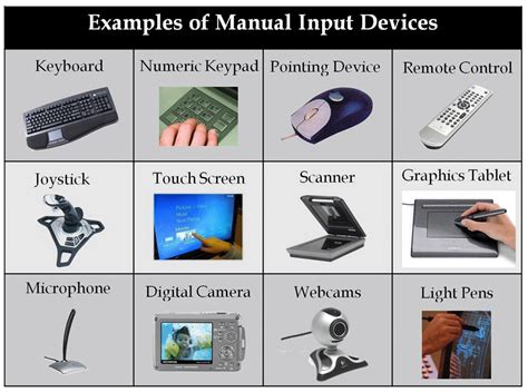 Image result for Computer Hardware Input and Output Devices