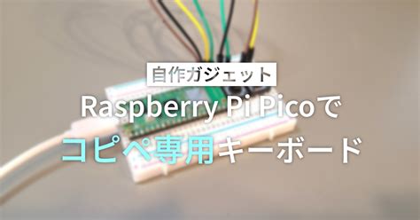 Raspberry Pi Pico and Notepad に対する画像結果