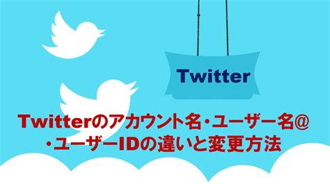 Twitter User に対する画像結果