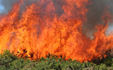 Image result for Fire Engine UK Exported