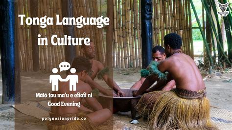 Image result for Native Language in Tonga