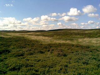 Toradh íomhá ar Reiki Healing for Depression