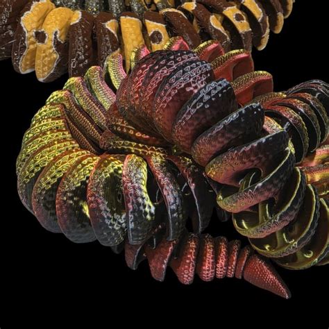 Afbeeldingsresultaten voor Diamond Python Realistic Drawings