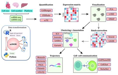 Toradh íomhá ar Bioinformatics Abstract Example