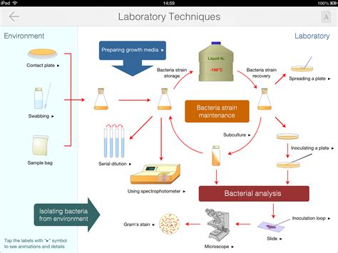 Image result for Micro Lab Protocol