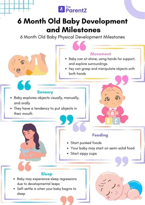 Image result for Biological Development 6 Months