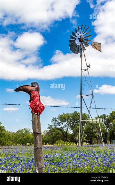 Toradh íomhá ar Cowboy Boot Loop