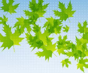 Image result for Free Tree Design