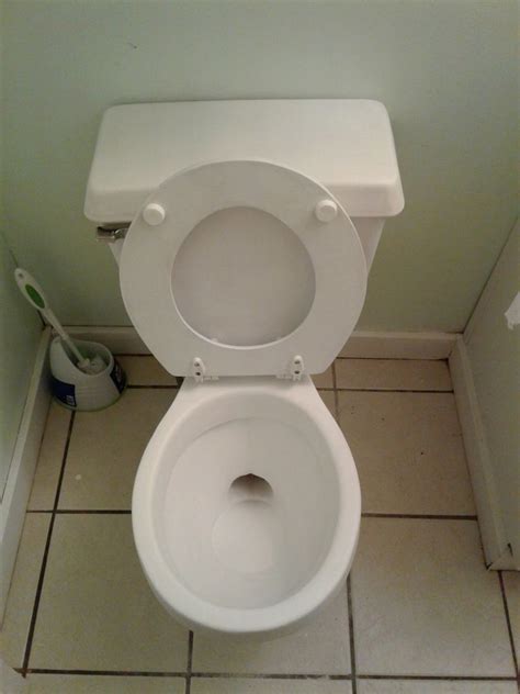 Image result for Toilet Kind